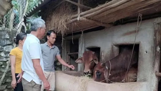 QUẢNG TRỊ: NHCSXH Quảng Trị "Thắp lửa tái hòa nhập cho người chấp hành xong án phạt tù qua tín dụng ưu đãi"