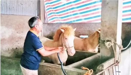 THÁI NGUYÊN: Hiệu quả vốn vay đối với người chấp hành xong án phạt tù