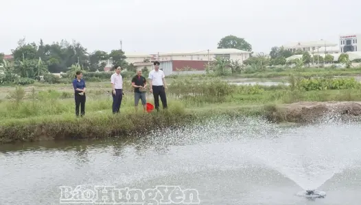 HƯNG YÊN: Giúp đỡ người chấp hành xong án phạt tù tái hòa nhập cộng đồng