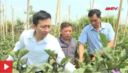 ĐẮK LẮK: Đồng hành giúp đỡ người từng lầm lỡ