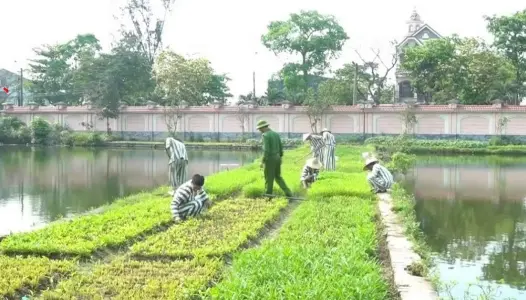 NGHỆ AN: Phối hợp giúp đỡ thanh niên, phụ nữ lầm lỡ tái hòa nhập cộng đồng